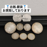 画像2488