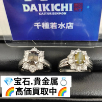 画像2548