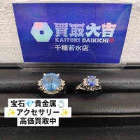 画像2578